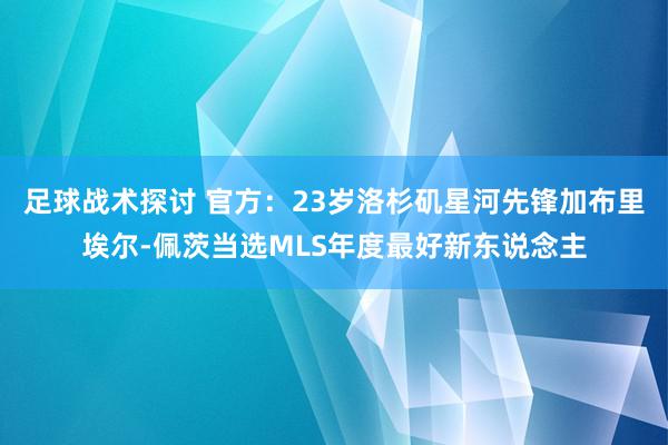 足球战术探讨 官方：23岁洛杉矶星河先锋加布里埃尔-佩茨当选MLS年度最好新东说念主