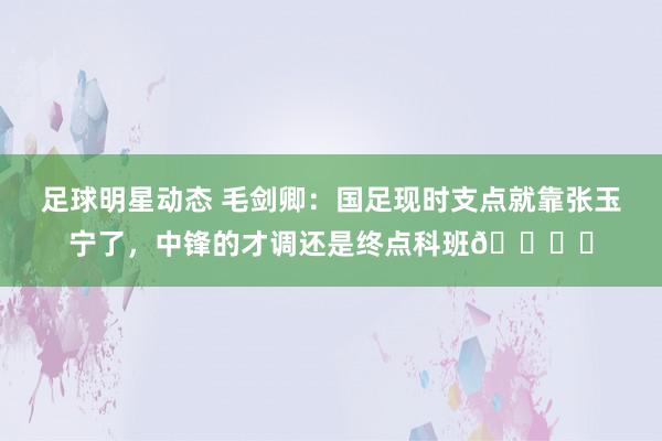 足球明星动态 毛剑卿：国足现时支点就靠张玉宁了，中锋的才调还是终点科班👍️