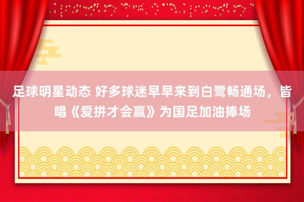 足球明星动态 好多球迷早早来到白鹭畅通场，皆唱《爱拼才会赢》为国足加油捧场