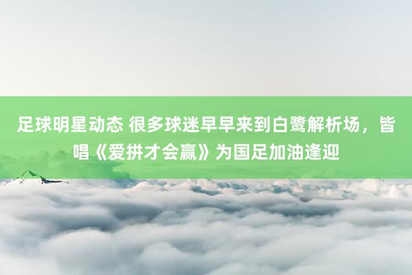 足球明星动态 很多球迷早早来到白鹭解析场，皆唱《爱拼才会赢》为国足加油逢迎