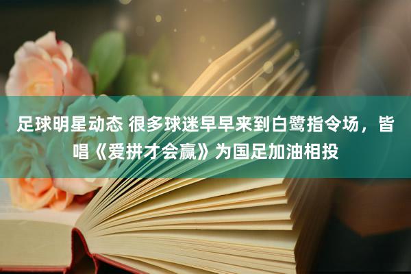 足球明星动态 很多球迷早早来到白鹭指令场，皆唱《爱拼才会赢》为国足加油相投