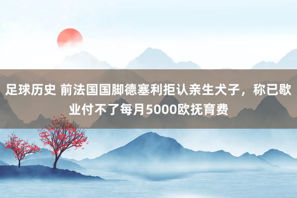 足球历史 前法国国脚德塞利拒认亲生犬子，称已歇业付不了每月5000欧抚育费