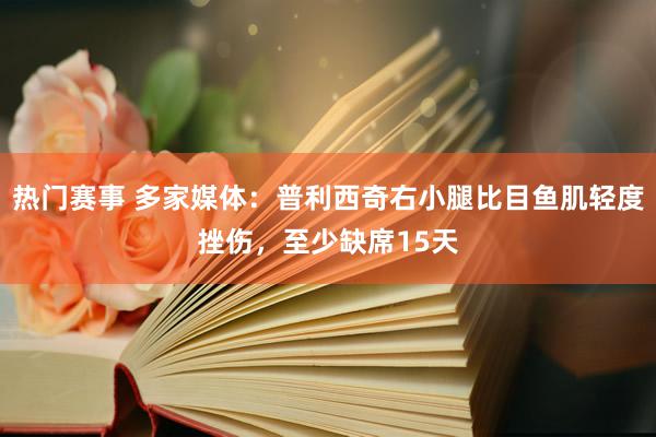 热门赛事 多家媒体：普利西奇右小腿比目鱼肌轻度挫伤，至少缺席15天