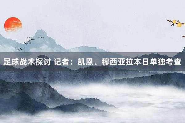 足球战术探讨 记者：凯恩、穆西亚拉本日单独考查