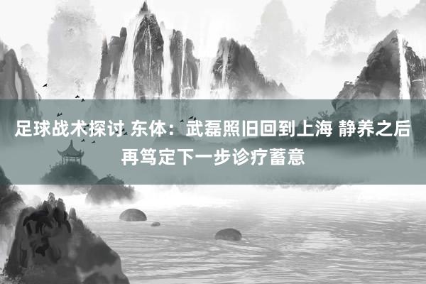 足球战术探讨 东体：武磊照旧回到上海 静养之后再笃定下一步诊疗蓄意