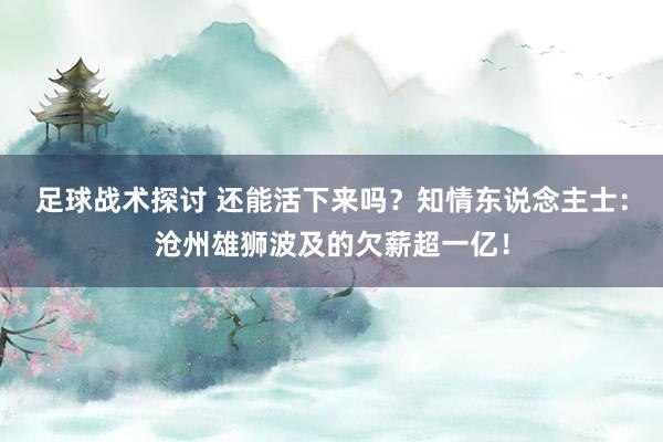 足球战术探讨 还能活下来吗？知情东说念主士：沧州雄狮波及的欠薪超一亿！