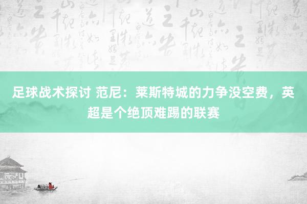 足球战术探讨 范尼：莱斯特城的力争没空费，英超是个绝顶难踢的联赛